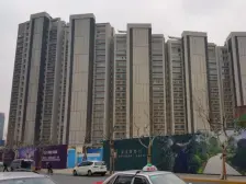 高区全江景房,大面宽客厅视野宽阔直面黄浦江景