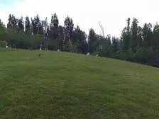 联排别墅带地上大车库,园区可贷款诚意出售