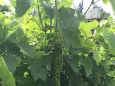 龙湖紫云台2.0叠拼精装海景别墅 采光好!精装装修