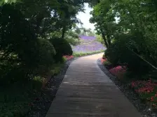 紫云台联排+楼上三层+车库+带有小院子