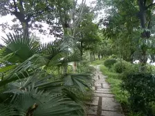 诚心出售坐北朝南,舒适安静的能望小区花园的小溪别墅