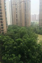绿洲花园4室1厅南
