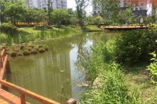 哈西枫蓝国际 哈西万达 哈西服装城 医大二院