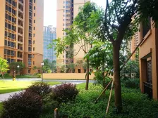 小区中间楼栋中楼层朝南无遮挡户型带入户花园三房二卫