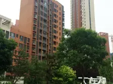 高新园区 黄泥川 精装修两室 南北通透 近轻轨