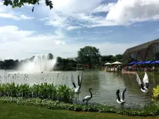 交通方便 带精装修 高楼层 采光好 通风好