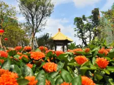 海德一期 117平大三房 家私电器齐 看房方便