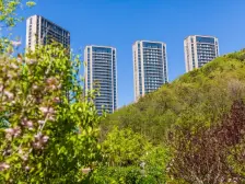 桃源里双泳池,双会所,精装未住,宽厅,采光不挡