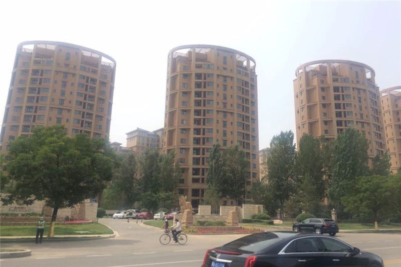 ¶«°¶¹ú¼Ê,ÖÐÌúŵµÂÁúÍå,¶«ºÓÉϵÄÔº×Ó,×Ͼ£Êû