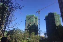 明信仕林府2室1厅东南西南东北