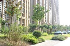 绿地璀璨天城~有钥匙随时看房~看好价格可谈