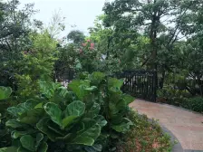 136平,户型方正,小区环境舒服,安静小区