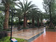 中熙君墅湾江景洋房 精装5室 南北对流户型 满五唯一