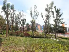 华远A区联排中间户,北花园带车库,入户大楼梯显贵富