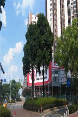 3号线季华六路地铁口,精装两房,配套齐全
