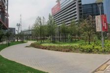 此房户型方正洋房总高6层小区楼间距宽