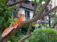 品质小区,绿地万达双商圈,双卫户型正气采光好