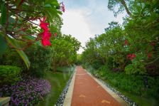 业主诚心出售看房方便南向精装3房中间楼层