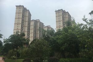 双阳台,采光充足明厨明厅,南北通透户型。