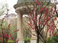 建邦原香溪谷 4室2厅 南 北