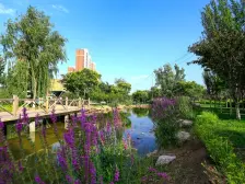 保利金香槟,纯河景,楼层视野开阔,采光充足