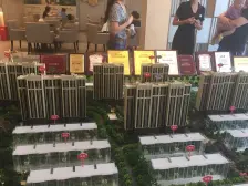 精装3房1楼带花园,带地下室,出门就是龙湖、上大附属