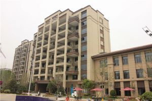 碧桂园天誉新上2梯2户大平层高品质小区