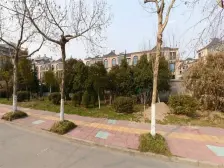 国信金河世家 东边户 100多平米大院子