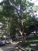 仁和攀钢小区低楼层精装两室看房方便