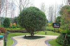 北辰香麓 4室2厅 南