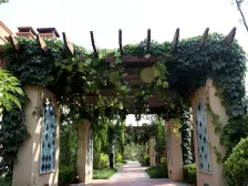 兰州什川古梨园别墅,户型方正,南北通透