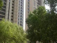高区景观,居家装修,价格优惠