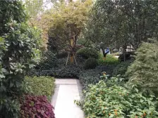 法式叠加别墅,附加185平地下室 带200平花园 看房方便