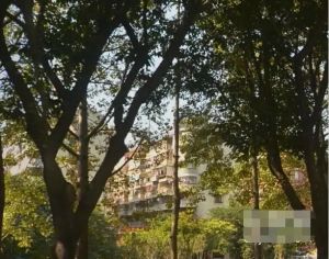 东端头户型结构好,低总价,高层无遮挡采光好