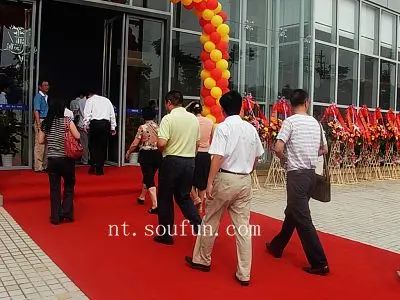 嘉宾踏上红地毯 嘉宾踏上红地毯