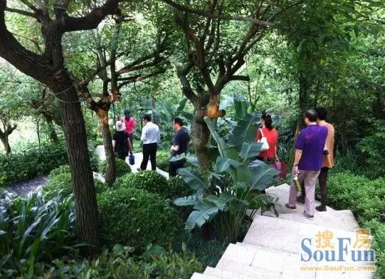 ½ðµØºþɽ´ó¾³