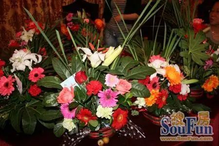 花城 花城