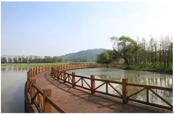 西湖娱乐城- 西湖娱乐城官方网站- 西湖娱乐城APP衡阳市西湖公园“扎灯”迎新春