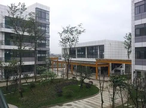 美丽校园 美丽校园