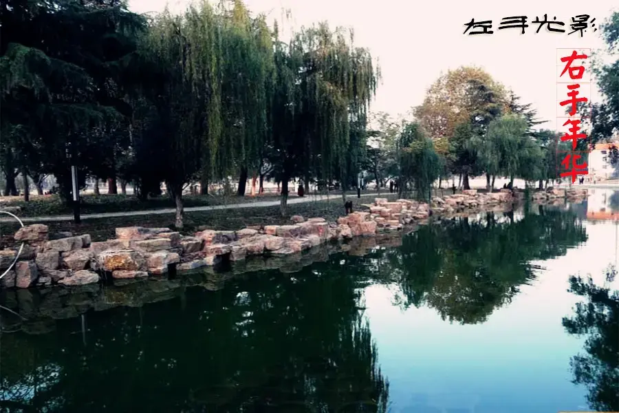 ֹӰ껪

Դǡϡ