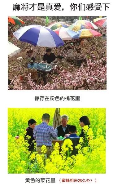 1 点击图片查看 1