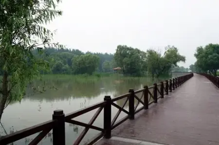 鱼嘴湿地公园位于河西cbd最南端,长江,夹江和秦淮河三水交汇处,总