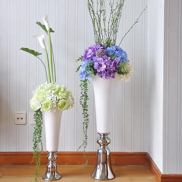 德信娱乐客厅内养花有讲究该养什么花？看完你就明白啦