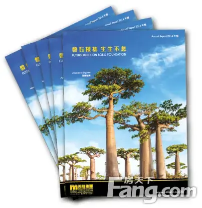 美联集团年报 生命树寓意深生生不息根基厚