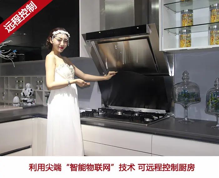 Èû¶÷˹ϵÁÐÖÇÄܳø·¿ Èû¶÷˹ϵÁÐÖÇÄܳø·¿