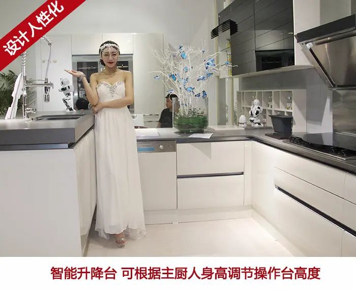 Èû¶÷˹ϵÁÐÖÇÄܳø·¿ Èû¶÷˹ϵÁÐÖÇÄܳø·¿