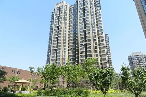 龙泽国际 龙泽国际