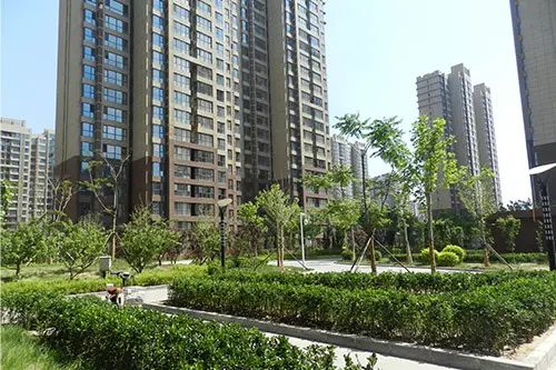 龙泽国际 龙泽国际