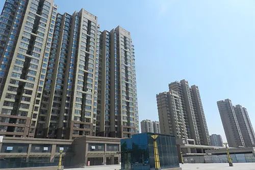 龙泽国际 龙泽国际