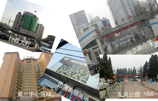 水晶国际 水晶国际